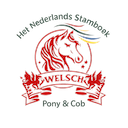 Welsch en Cob pony's te koop aangeboden'