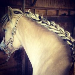 Klik om de advertentie te lezen