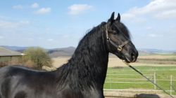 Klik om de advertentie te lezen