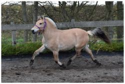 Klik om de advertentie te lezen