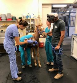 Klik om de advertentie te lezen