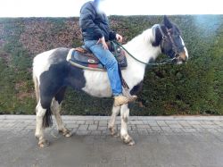 Klik om de advertentie te lezen