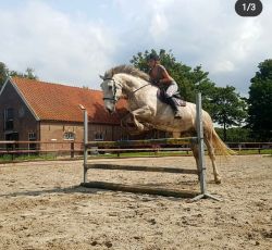 Klik om de advertentie te lezen