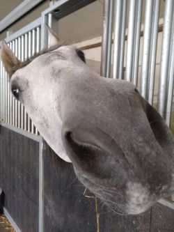 Klik om de advertentie te lezen