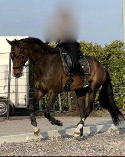 Zeer mooi ruim 8 jaar met top gangen